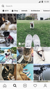 TikTok's competitor - Instagram Reels